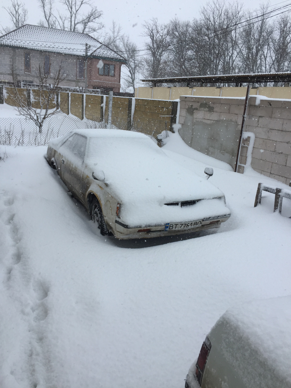 БЖ не покинутий 5