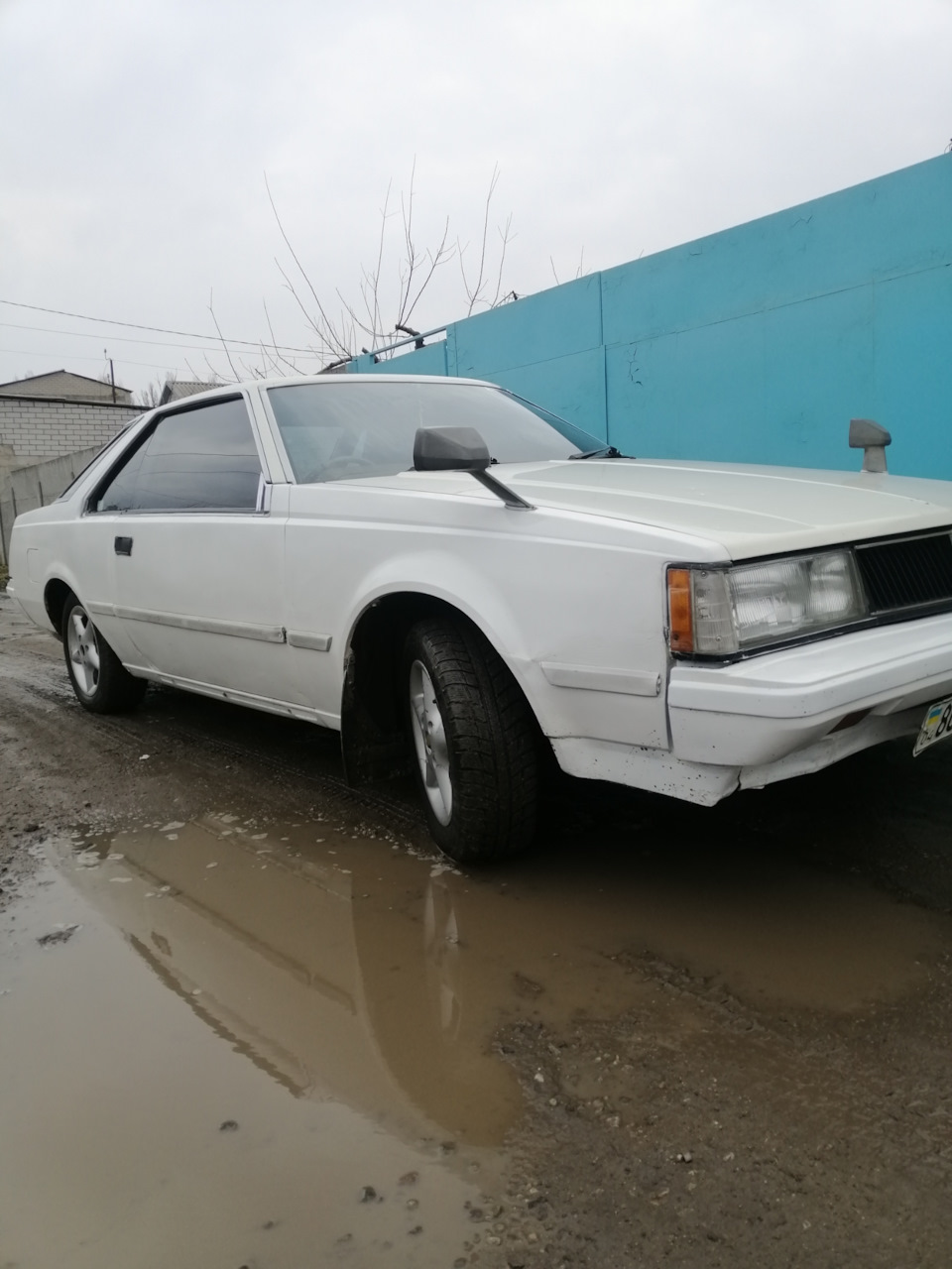Олія 5