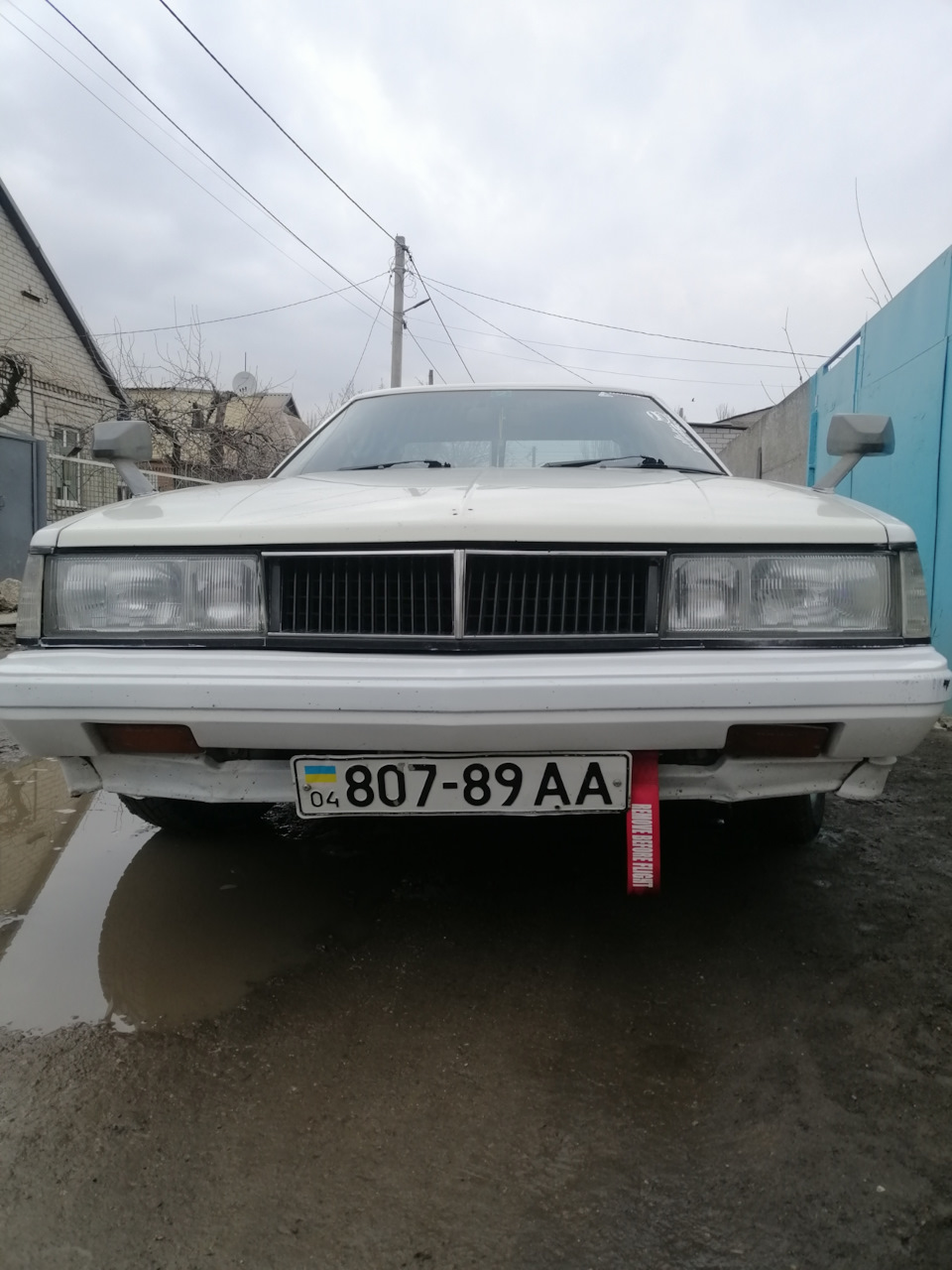 Олія 2