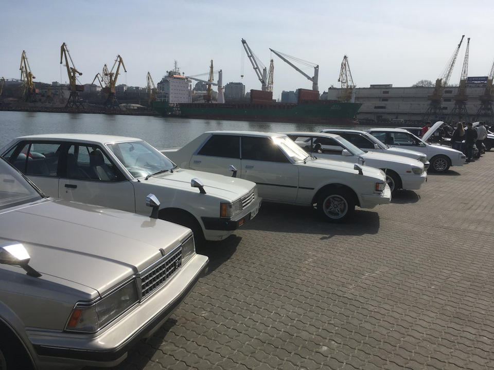 Теплий збір в Одесі. 4