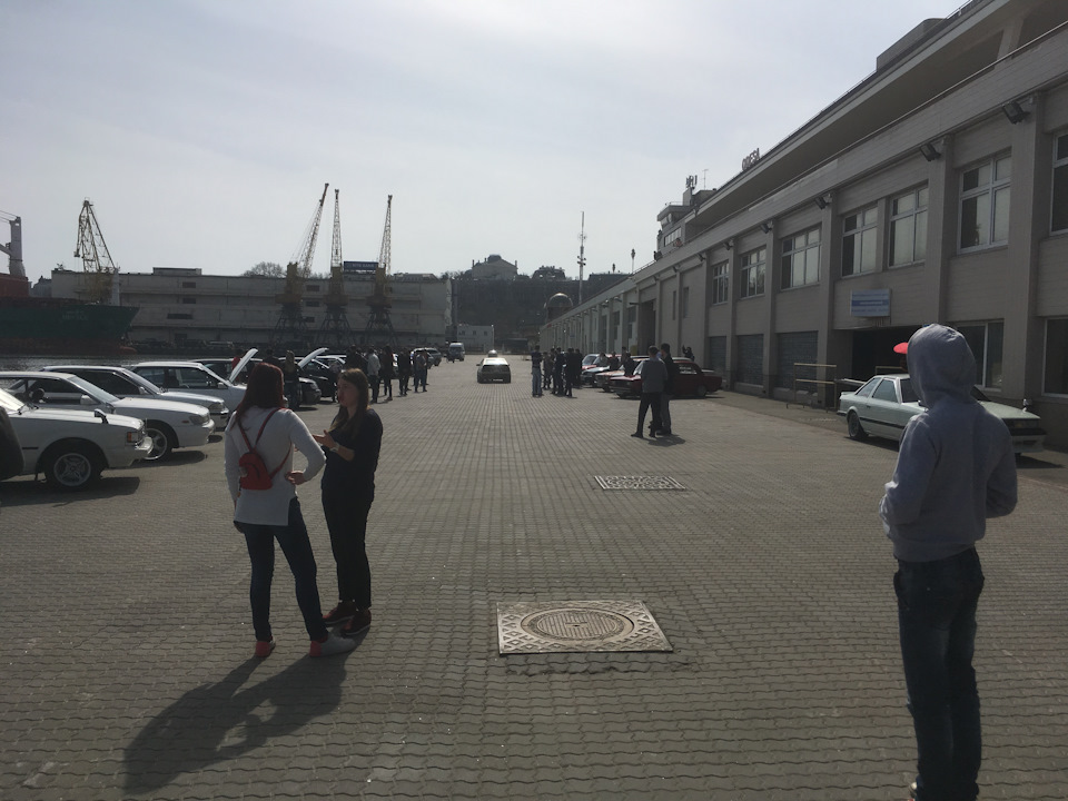 Теплий збір в Одесі. 3