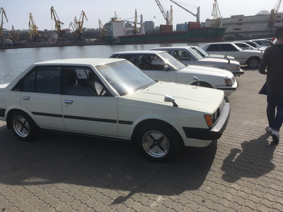 Теплий збір в Одесі. 2