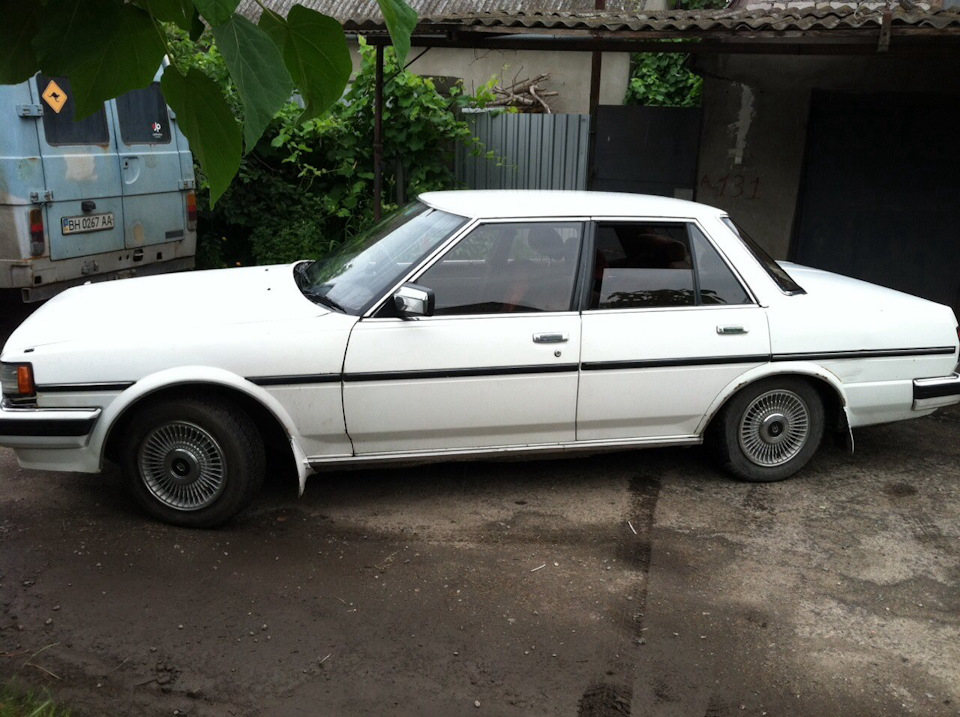 Ковпаки 4