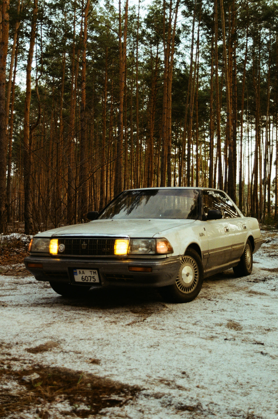 1. Зимовий фотосет. 3