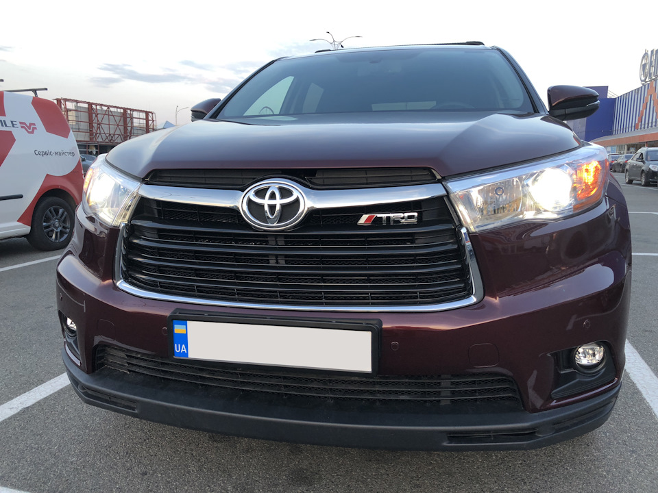 Сетка в решетку радиатора + TRD 2