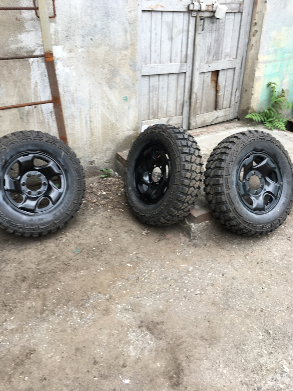 Фарбування дисків 4