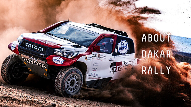 EVO Corse Dakar Диски 5