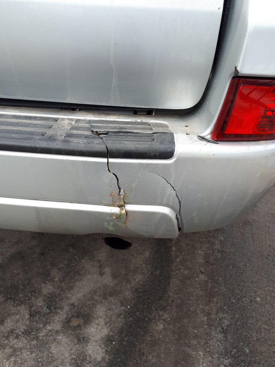 Задній бампер привітався з деревом 1