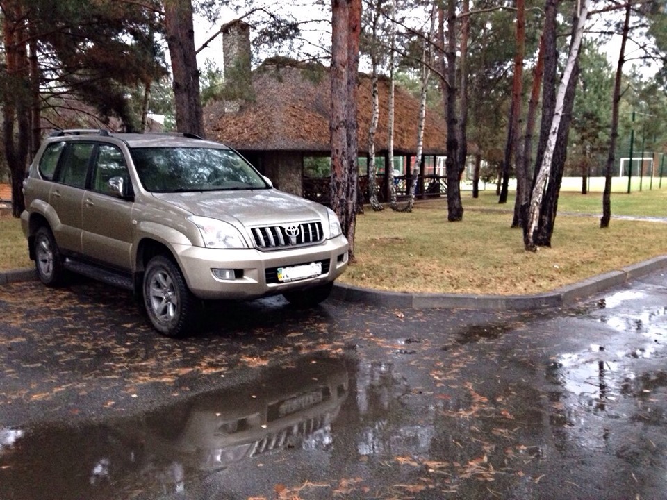 Дощовий понеділок) 1