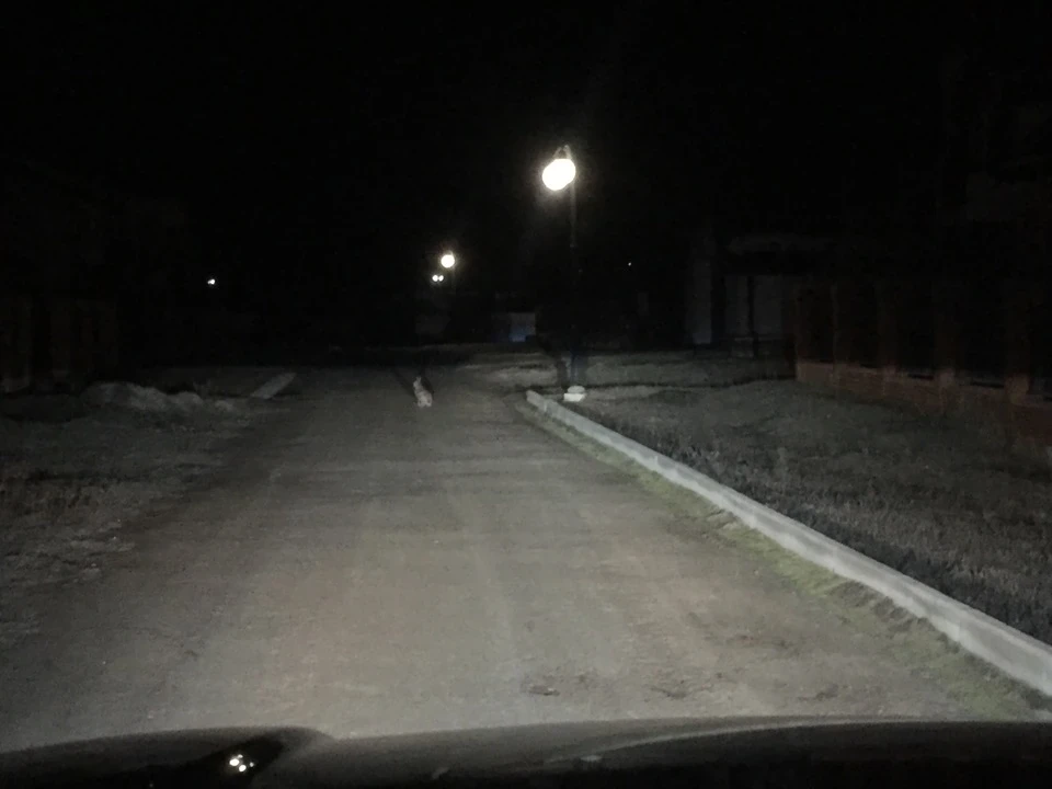 Про все