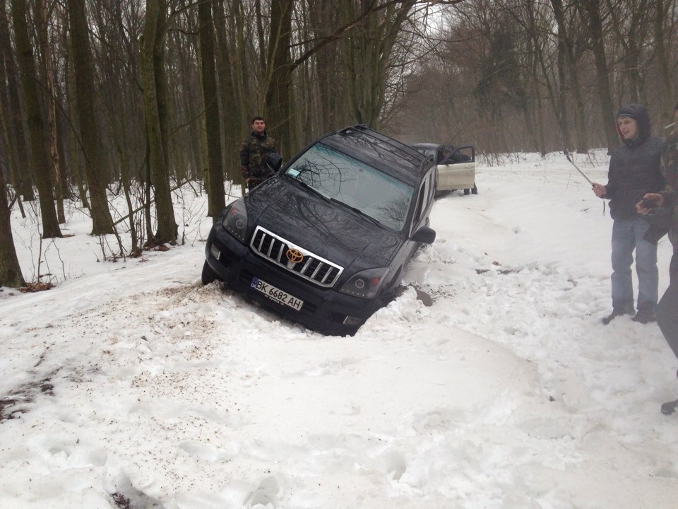 Фото з природи 3