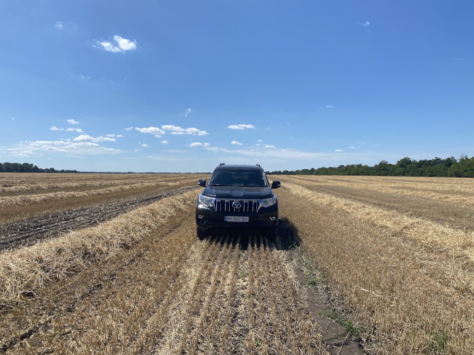 Land cruiser в природному середовищі 3