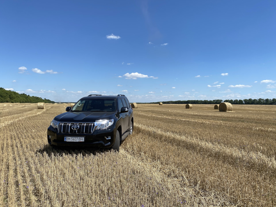 Land cruiser в природному середовищі 2