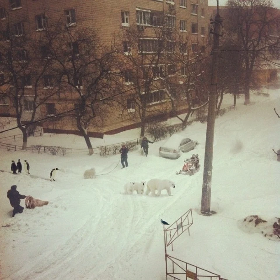Армагедон