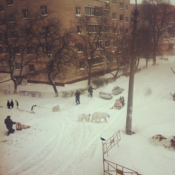 Армагедон 1