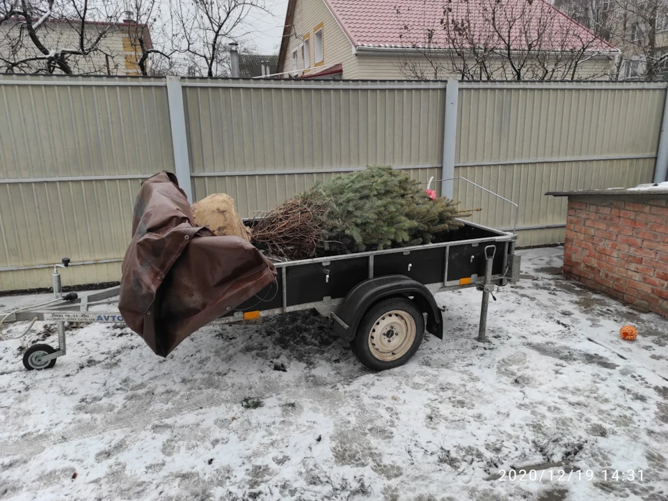 Масложорррррр. Страшно?!
