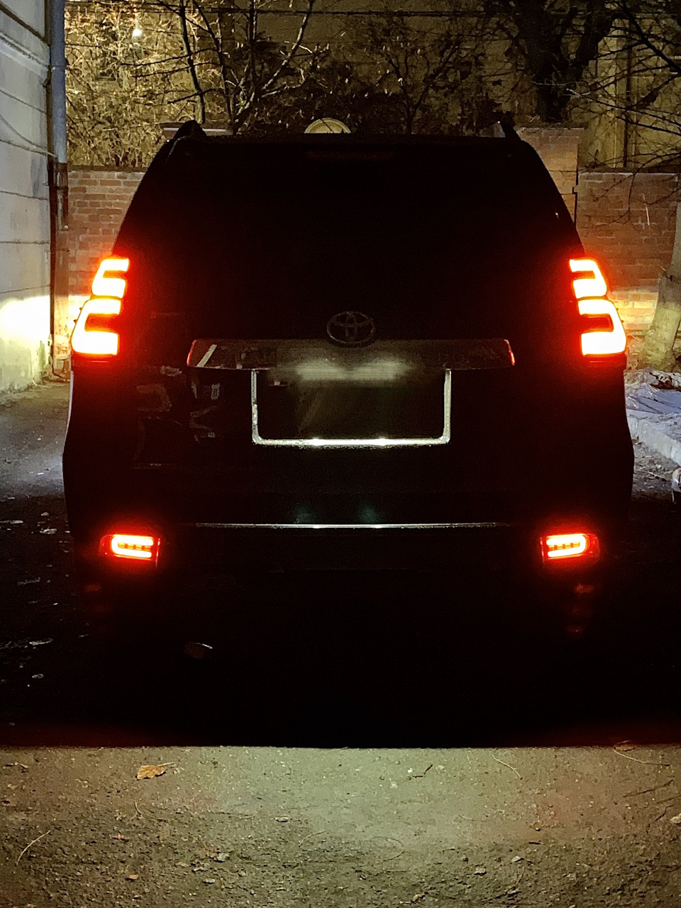 Задні LED ПТФ 3