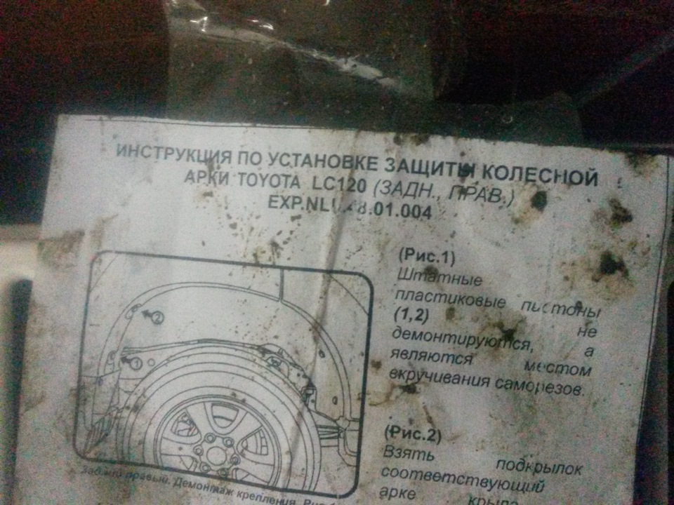 Задні підкрилки 4
