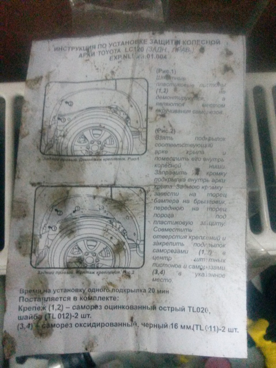 Задні підкрилки 3