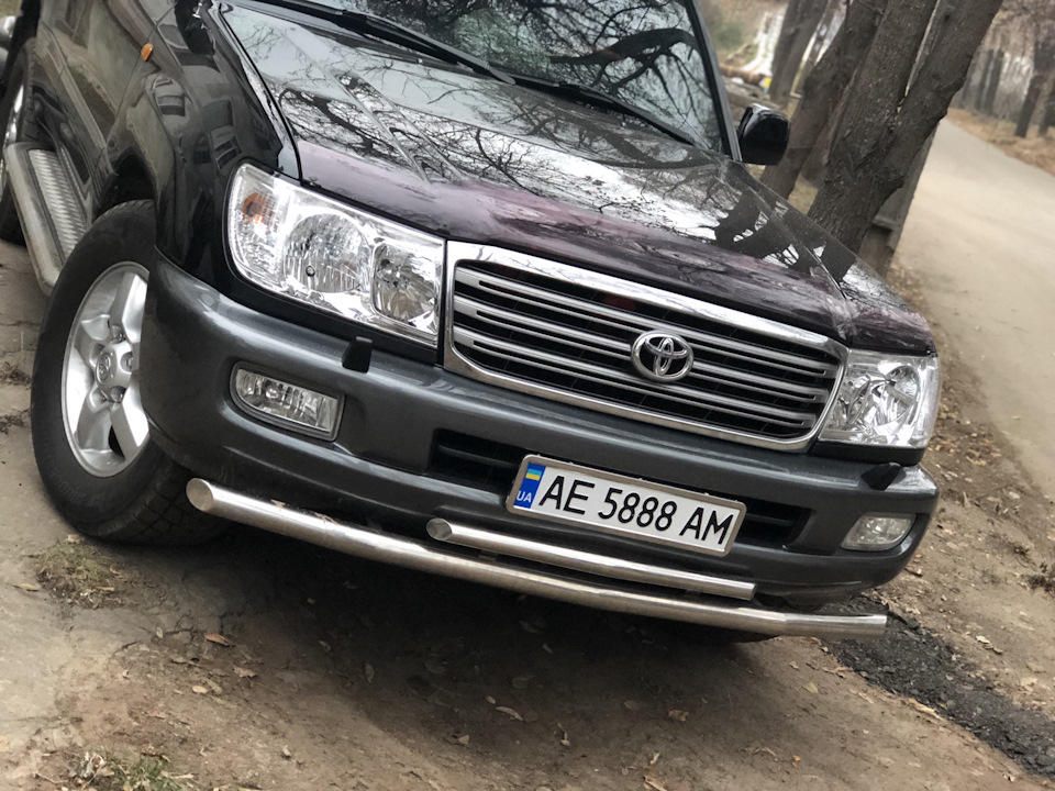 Нові дивачки 👀 👓 2