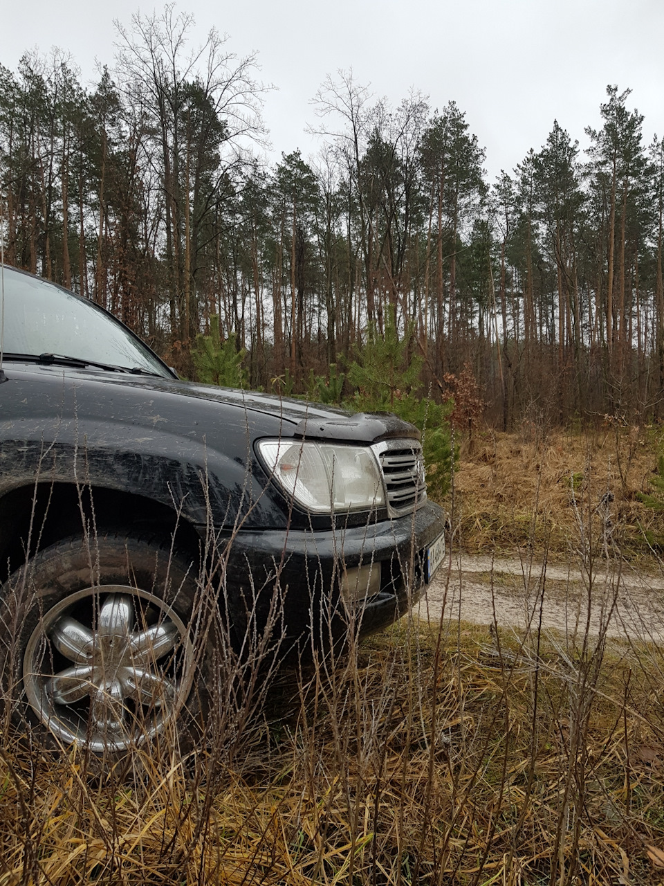 Запис, 6 січня 2018 1