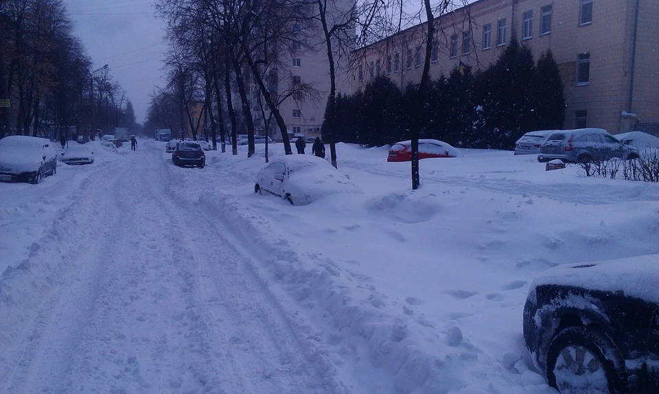 Дякую весні за чудову зиму!
