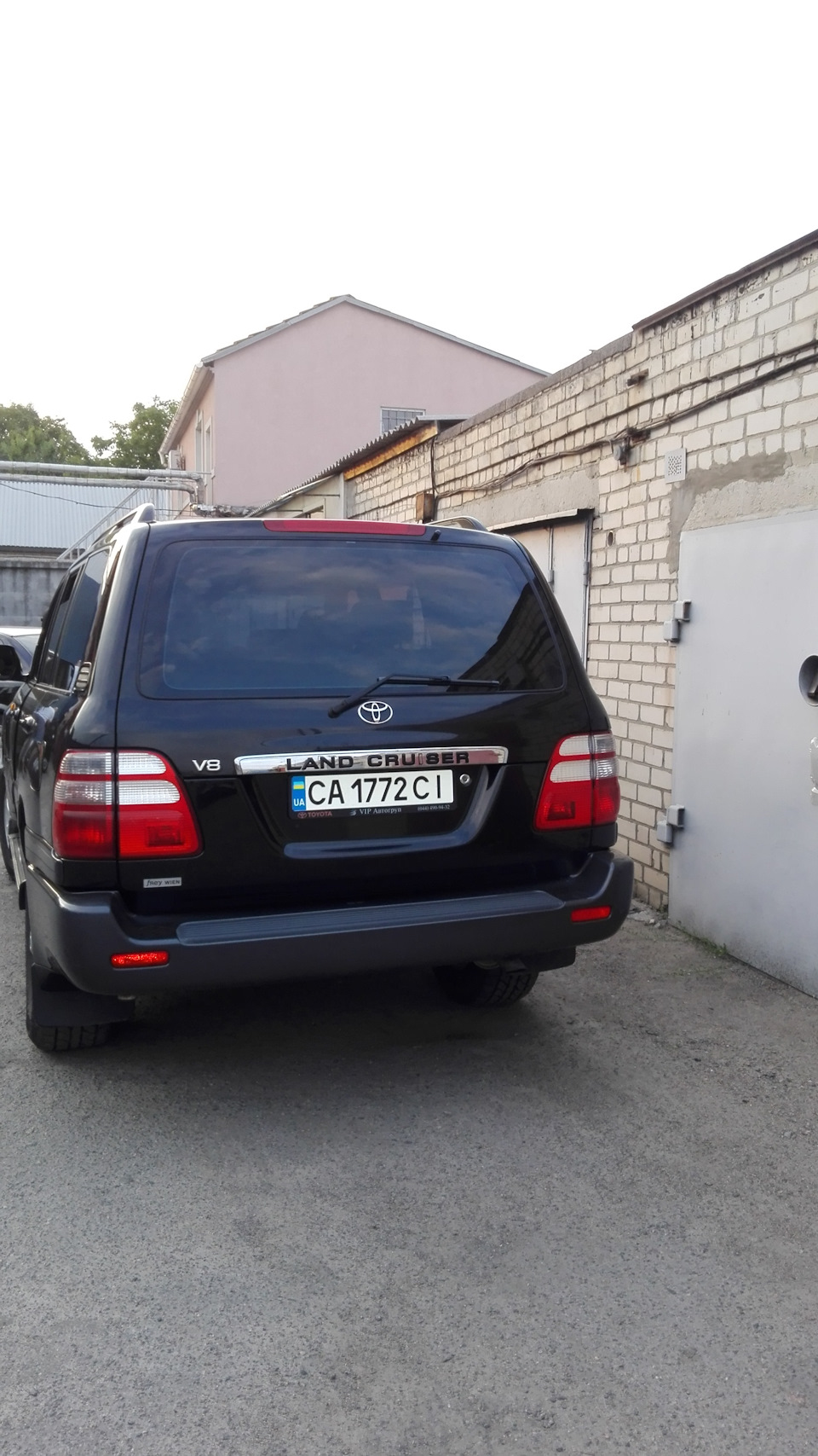 Окрас 4