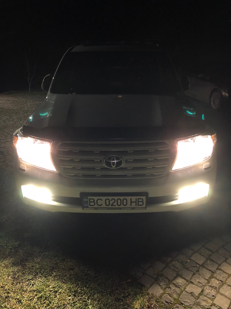 Заміна автомобільних номерів та ламп по колу 5