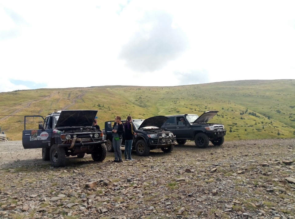 ОЛЕНІ-ТРОФІ 2019 3