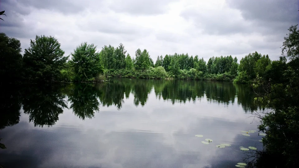 Недільний відпочинок. Ненудне