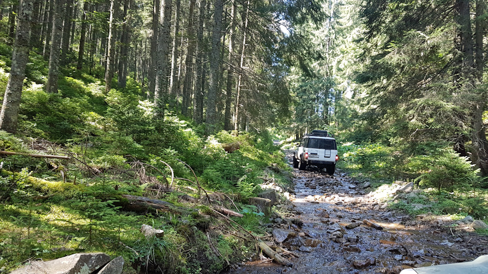 Покатуха, перший виїзд на Maxxis Trepador 5