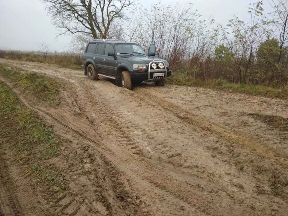 Кукурузник у справі