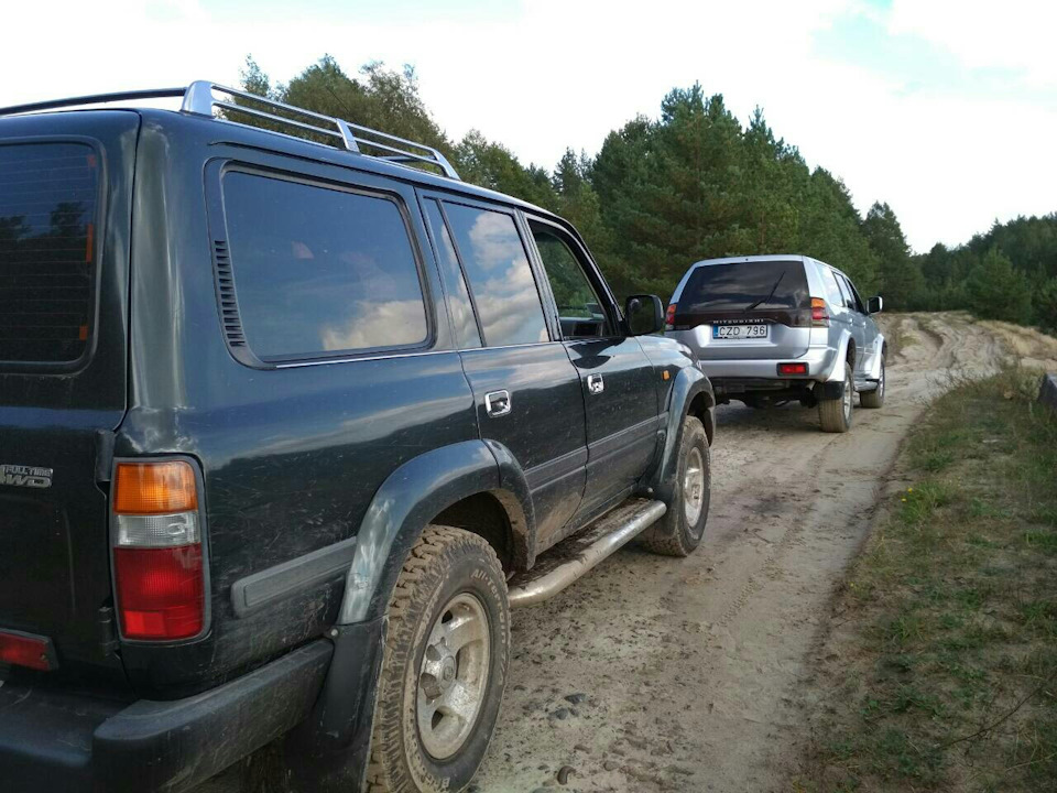 Поїздка до лісу 2