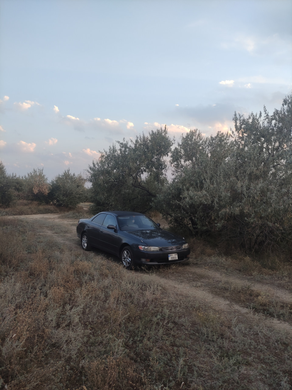 Поліровка фар, фіолетові мигалки та ін. 2