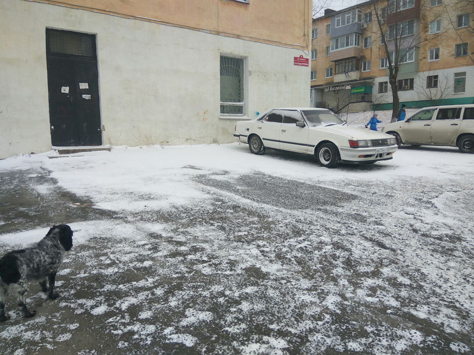 Сніжок! 2