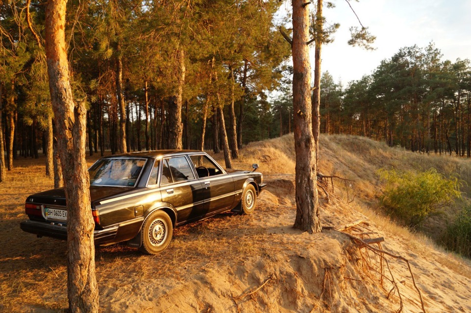 Маяк 11 у лісі) 5