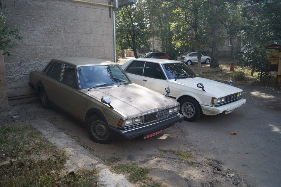 тук тук, хто там? 6 горщик 2