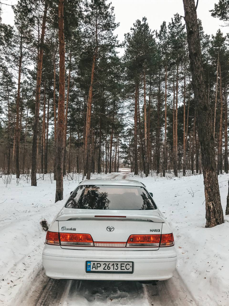 Зима 2021 1