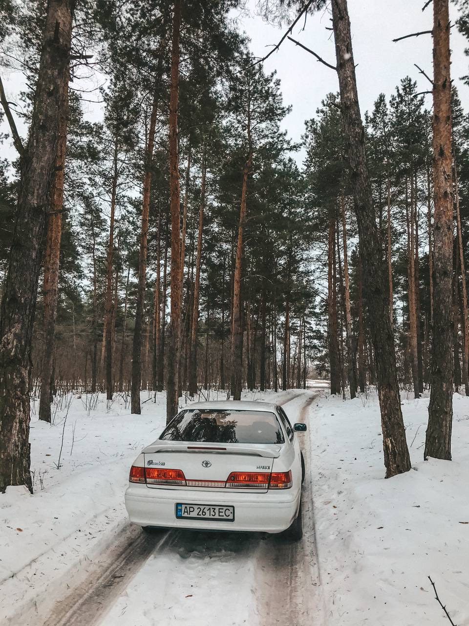 Зима 2021 4