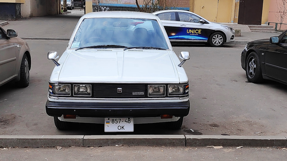 Ластівка 1