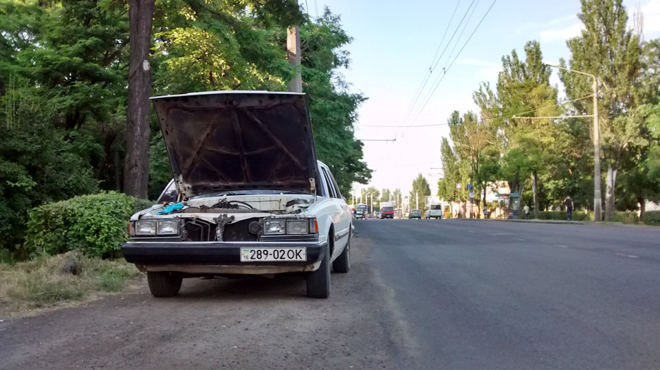 Тічна с…ка((( 1