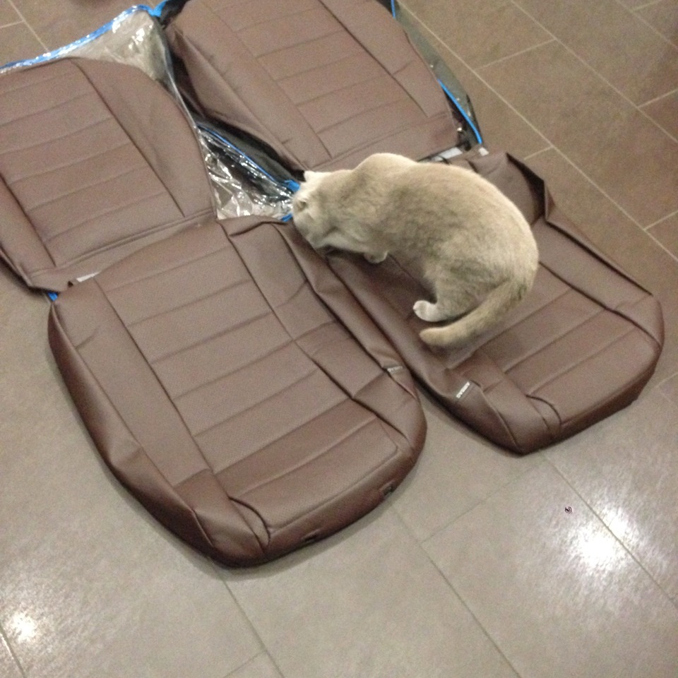 Новий одяг 3