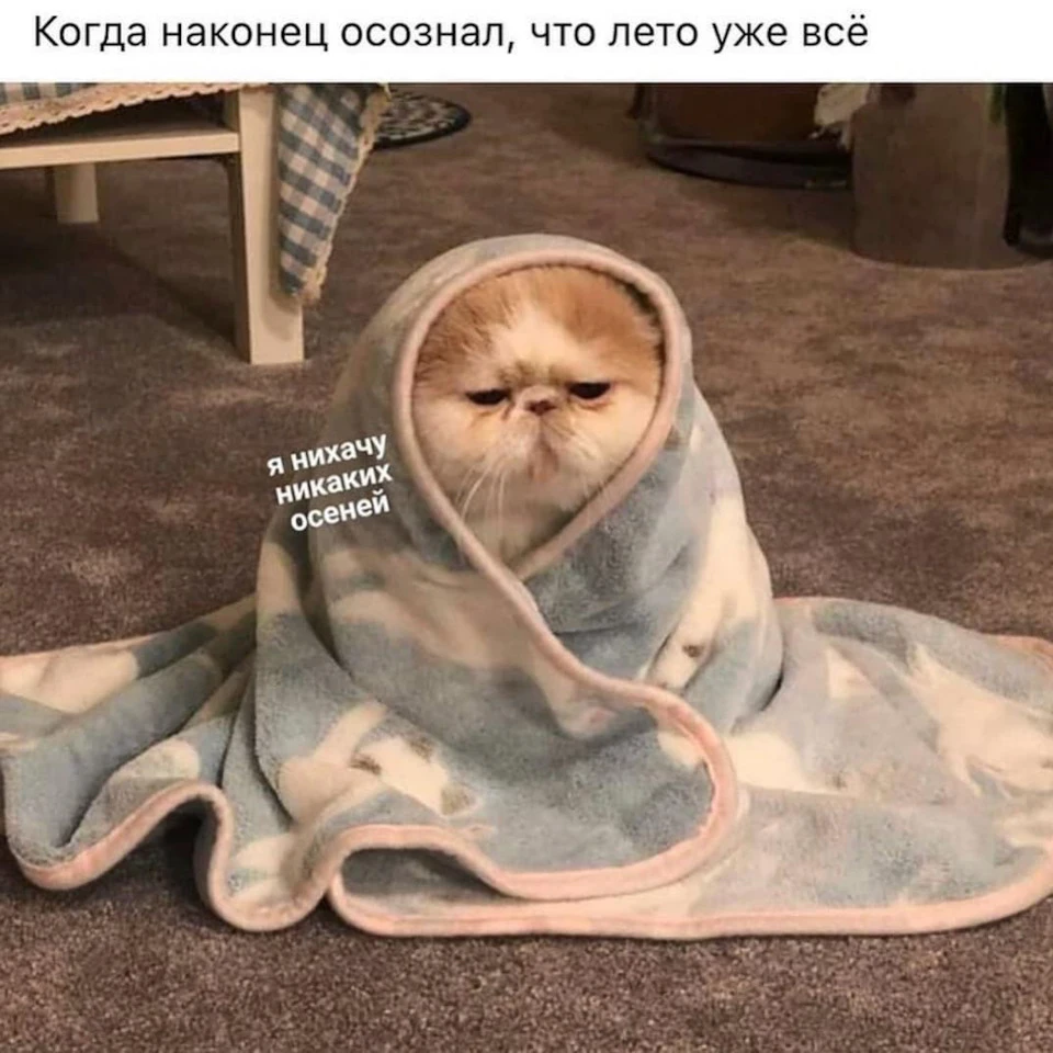 Потрібна допомога, біда з грубкою 🆘