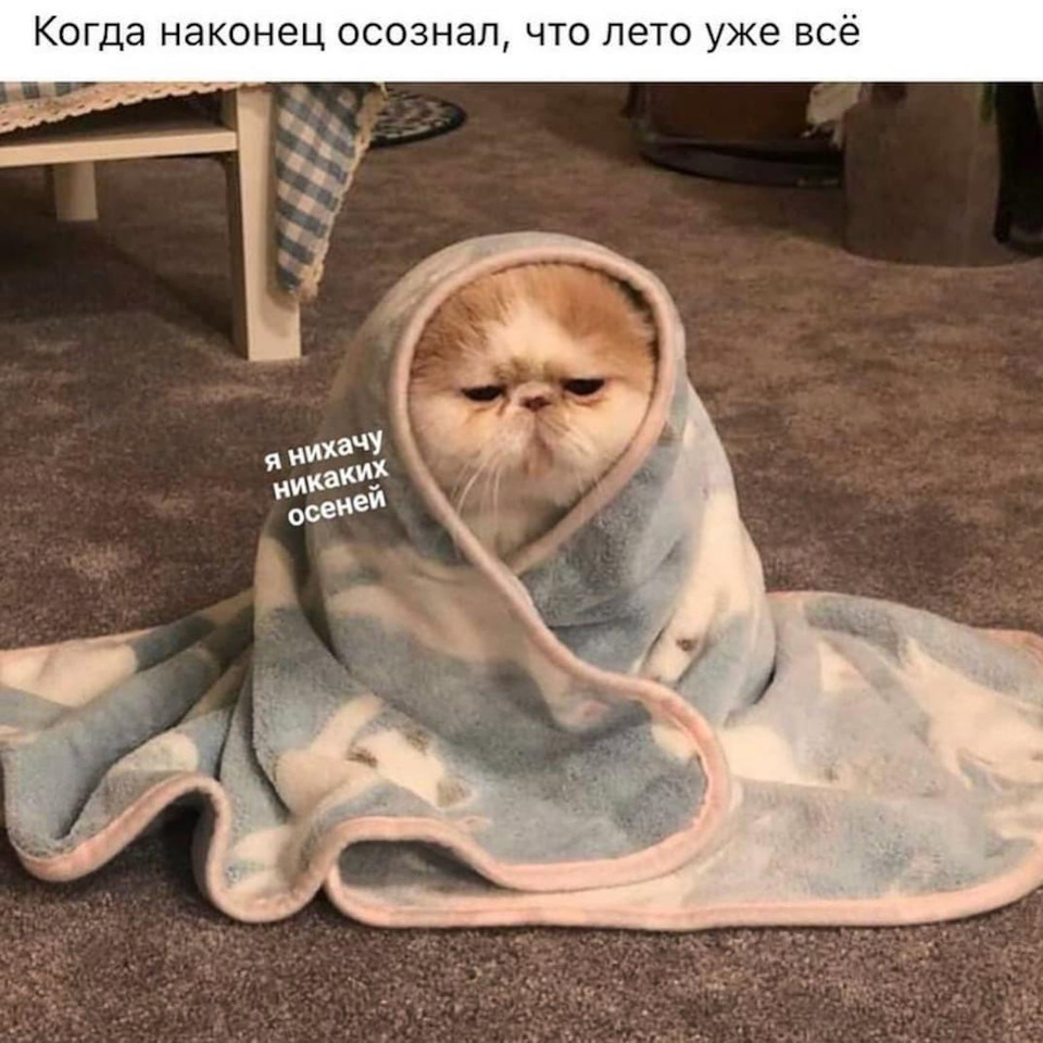 Потрібна допомога, біда з грубкою 🆘 1