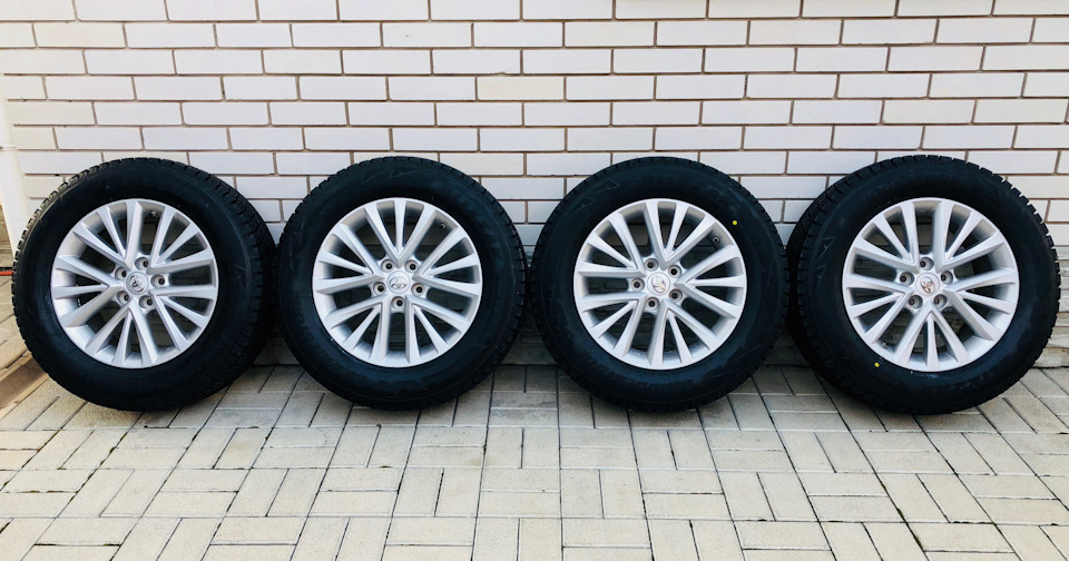 Bridgestone Blizzak DM-V2 1