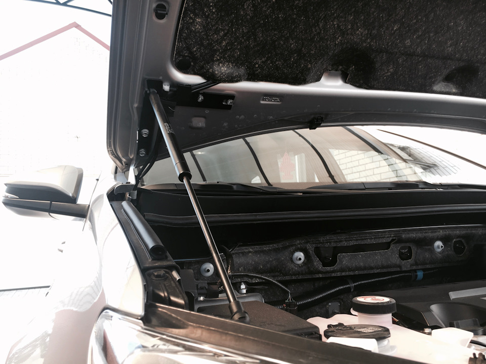 OEM Toyota Hood Strut Kit 3