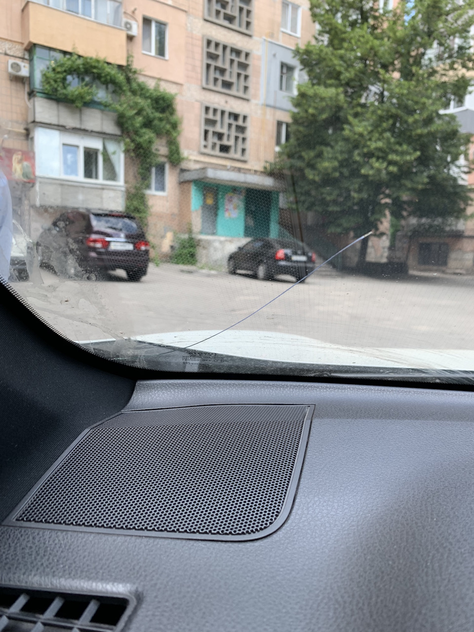 Триснув лобар 1