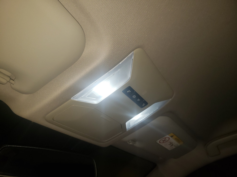 Led головного мозку 1