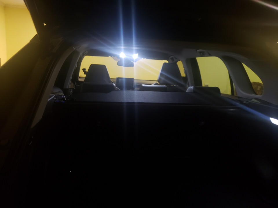 Led головного мозку 5