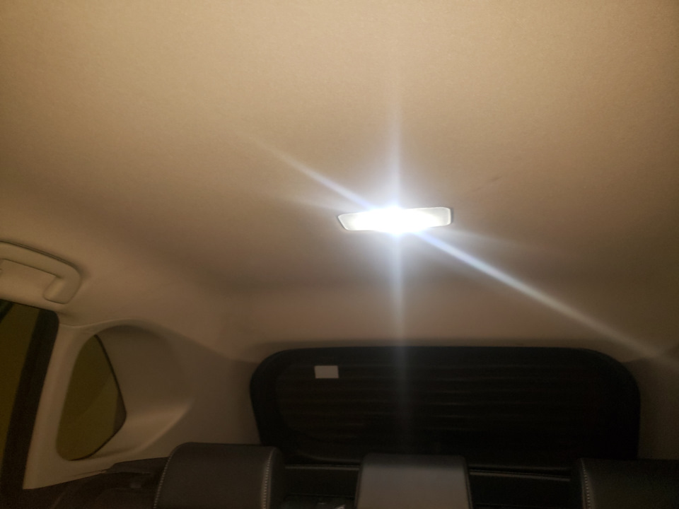 Led головного мозку 2